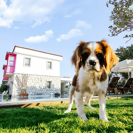Gobene Guest house Alacati