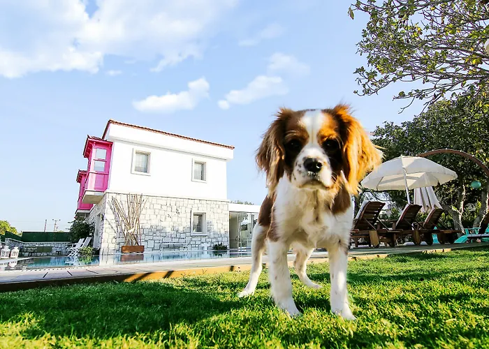 Gobene Gasthof Alaçatı